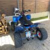 Polaris_Predator_500_anno_2005